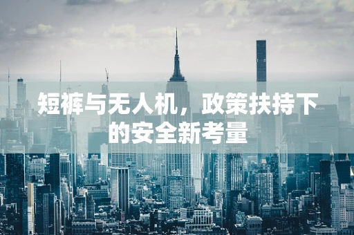 短裤与无人机，政策扶持下的安全新考量