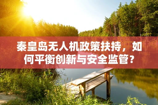 秦皇岛无人机政策扶持，如何平衡创新与安全监管？
