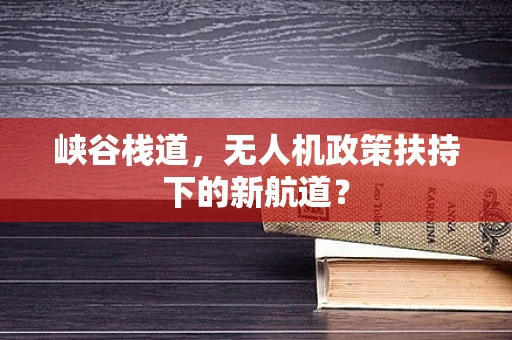峡谷栈道，无人机政策扶持下的新航道？