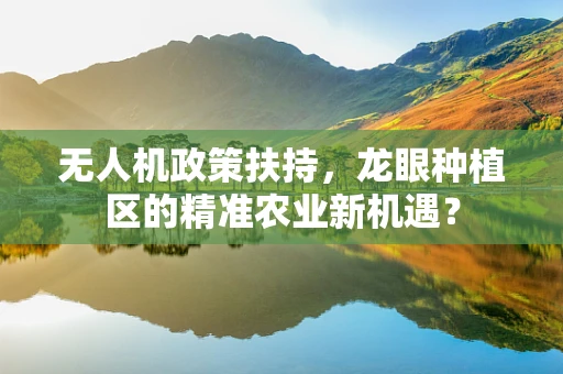 无人机政策扶持，龙眼种植区的精准农业新机遇？