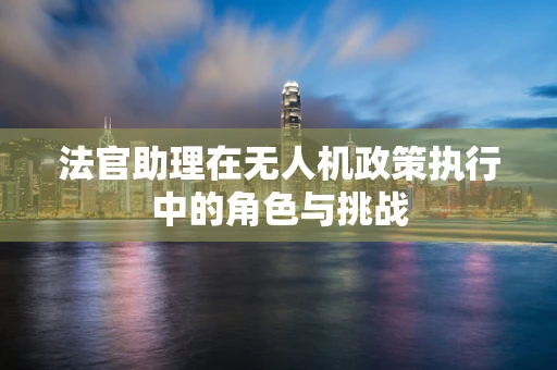 法官助理在无人机政策执行中的角色与挑战