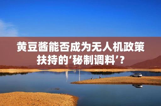 黄豆酱能否成为无人机政策扶持的‘秘制调料’？