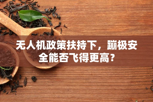 无人机政策扶持下，蹦极安全能否飞得更高？