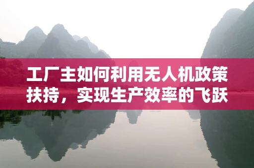 工厂主如何利用无人机政策扶持，实现生产效率的飞跃？