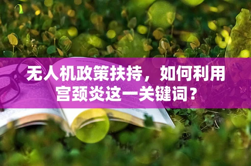 无人机政策扶持，如何利用宫颈炎这一关键词？