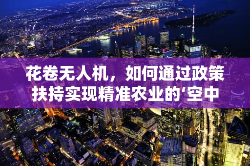 花卷无人机，如何通过政策扶持实现精准农业的‘空中革命’？