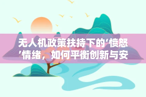 无人机政策扶持下的‘愤怒’情绪，如何平衡创新与安全？