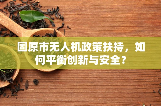 固原市无人机政策扶持，如何平衡创新与安全？