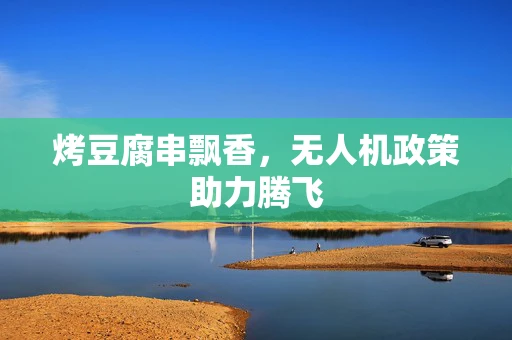烤豆腐串飘香，无人机政策助力腾飞