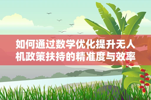 如何通过数学优化提升无人机政策扶持的精准度与效率？