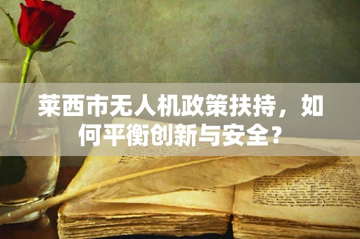 莱西市无人机政策扶持，如何平衡创新与安全？