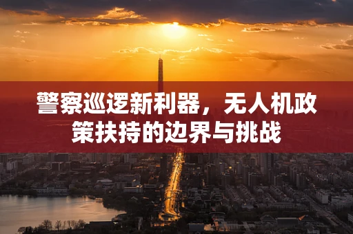 警察巡逻新利器，无人机政策扶持的边界与挑战