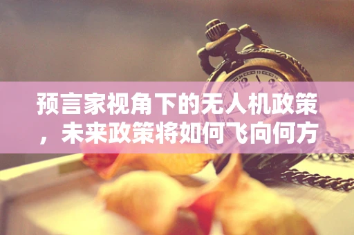 预言家视角下的无人机政策，未来政策将如何飞向何方？