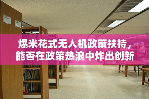 爆米花式无人机政策扶持，能否在政策热浪中炸出创新火花？