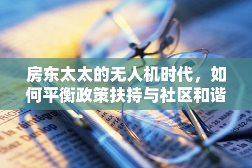 房东太太的无人机时代，如何平衡政策扶持与社区和谐？