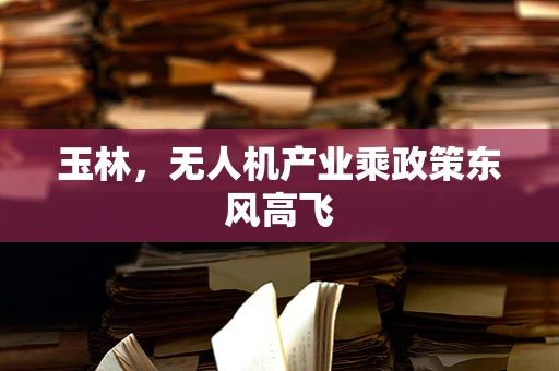 玉林，无人机产业乘政策东风高飞