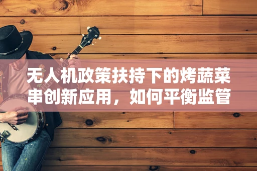 无人机政策扶持下的烤蔬菜串创新应用，如何平衡监管与创意？