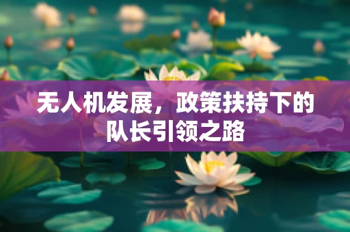 无人机发展，政策扶持下的队长引领之路