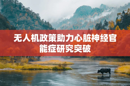 无人机政策助力心脏神经官能症研究突破