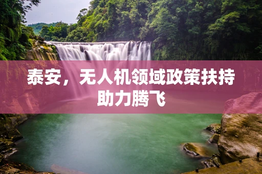 泰安，无人机领域政策扶持助力腾飞