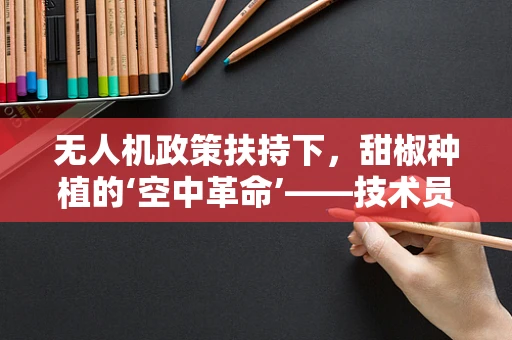 无人机政策扶持下，甜椒种植的‘空中革命’——技术员视角的未来展望