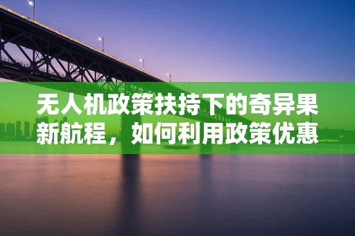 无人机政策扶持下的奇异果新航程，如何利用政策优惠促进农业无人机配送服务？