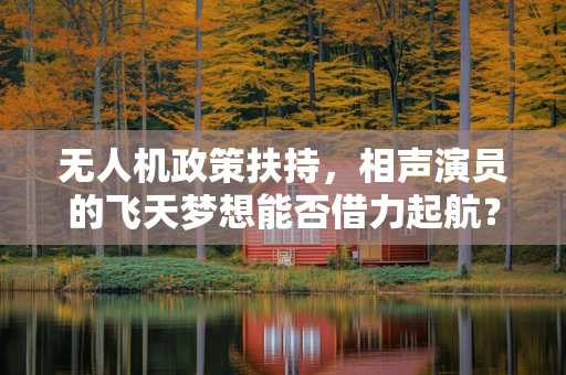无人机政策扶持，相声演员的飞天梦想能否借力起航？