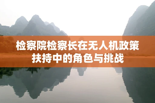 检察院检察长在无人机政策扶持中的角色与挑战