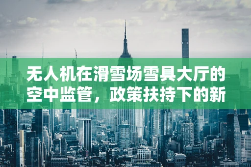 无人机在滑雪场雪具大厅的空中监管，政策扶持下的新挑战？