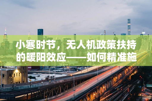 小寒时节，无人机政策扶持的暖阳效应——如何精准施策促进小微企业成长？