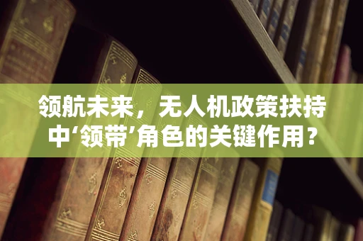 领航未来，无人机政策扶持中‘领带’角色的关键作用？