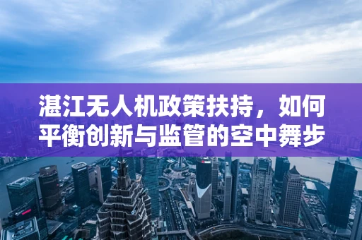 湛江无人机政策扶持，如何平衡创新与监管的空中舞步？