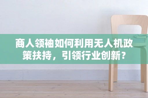商人领袖如何利用无人机政策扶持，引领行业创新？