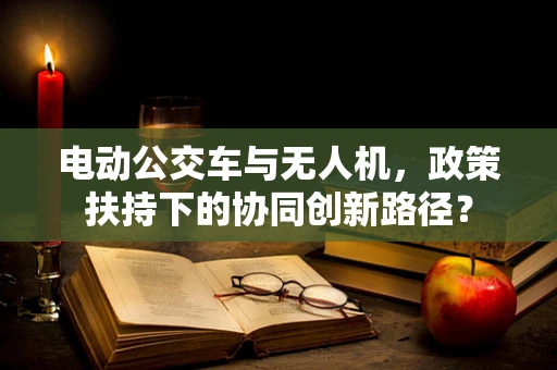 电动公交车与无人机，政策扶持下的协同创新路径？