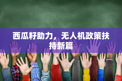 西瓜籽助力，无人机政策扶持新篇