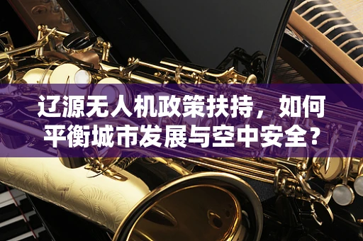 辽源无人机政策扶持，如何平衡城市发展与空中安全？