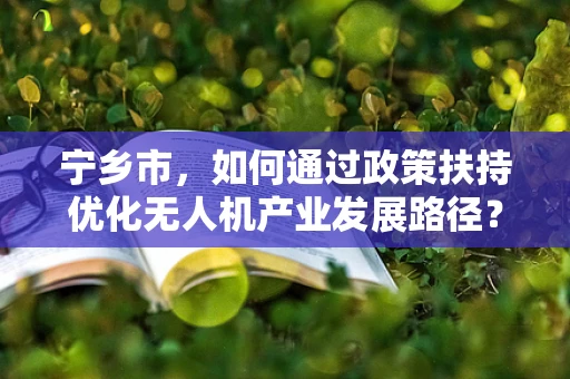 宁乡市，如何通过政策扶持优化无人机产业发展路径？