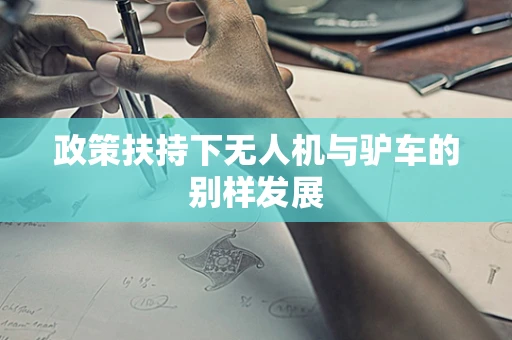 政策扶持下无人机与驴车的别样发展