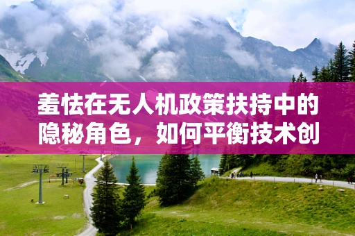 羞怯在无人机政策扶持中的隐秘角色，如何平衡技术创新与公众接受度？