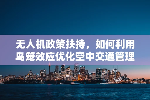 无人机政策扶持，如何利用鸟笼效应优化空中交通管理？