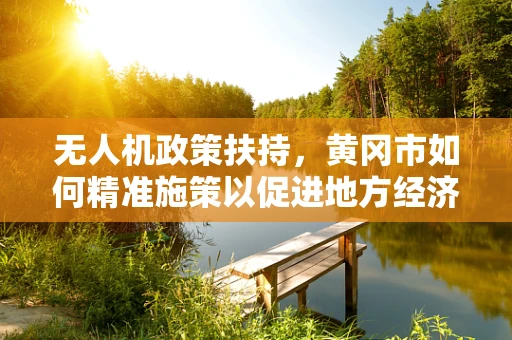 无人机政策扶持，黄冈市如何精准施策以促进地方经济发展？
