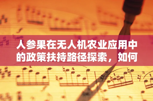 人参果在无人机农业应用中的政策扶持路径探索，如何平衡创新与监管？