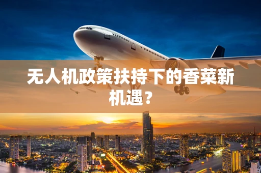 无人机政策扶持下的香菜新机遇？