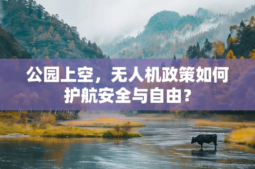 公园上空，无人机政策如何护航安全与自由？
