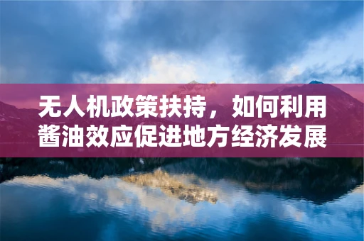 无人机政策扶持，如何利用酱油效应促进地方经济发展？