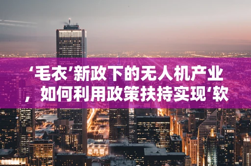 ‘毛衣’新政下的无人机产业，如何利用政策扶持实现‘软着陆’？