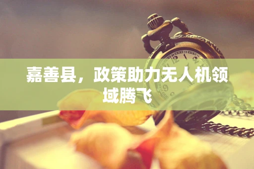 嘉善县，政策助力无人机领域腾飞