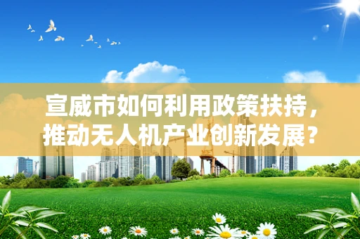 宣威市如何利用政策扶持，推动无人机产业创新发展？