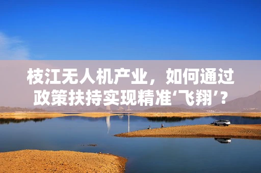 枝江无人机产业，如何通过政策扶持实现精准‘飞翔’？