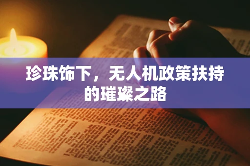 珍珠饰下，无人机政策扶持的璀璨之路